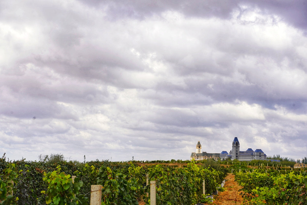 Lewei Winery
