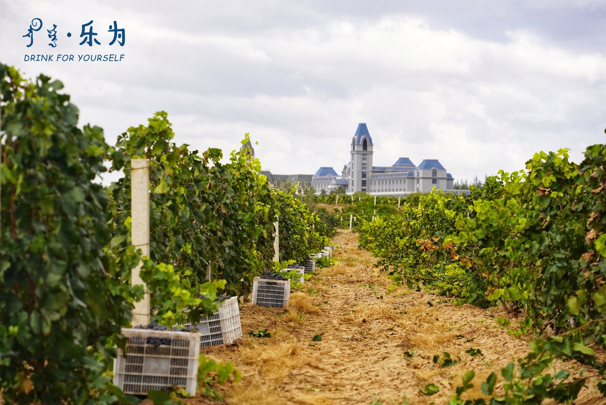 Lewei Winery