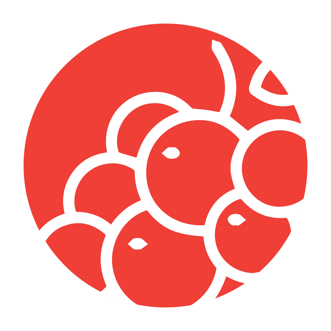 Xiaopu